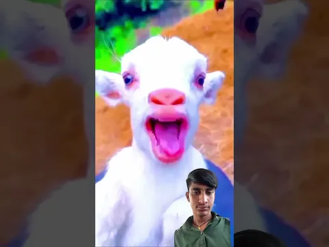 Gaurav K Saare Chips Kha Gayi Mummy 🤣 #shorts #gauravaroravlogs #youtubeshorts