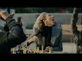 Heidi Gardner - Homes com Superbowl commercials 2024