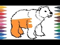 Coloring brown bear coloring for kids