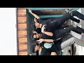 Download Lagu Kumpulan TikTok Sanayin - DJ Xen