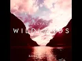 Wildlands (Instrumental)