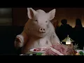 Boost Mobile - Pigs