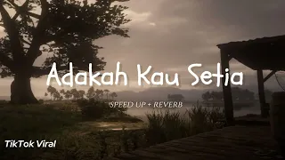 adakah kau setia safira official speed up reverb cover tiktok viral