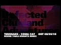Tensnake - Coma Cat Remixes