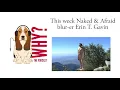 Why Episode 83 - Naked Afraid Blur-er Erin T Gavin