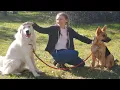Great Pyrenees vs German Shepherd IQ TEST