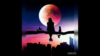 اجمل صور خلفيات غروب الشمس و القمر و اليل 