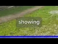 Deck collapses while U S Marshals were serving warrant in Missouri