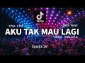 Download Lagu AKU TAK INGIN LAGI - SPADIX 28 - CHA-CHA DISCO TANAH