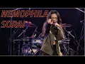 Download Lagu NEMOPHILA / SORAI [Official Live Video]