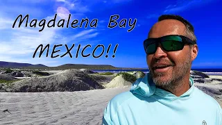 Sailing Hiraya Ep. 22  Sailing to Magdalena bay Mexico.