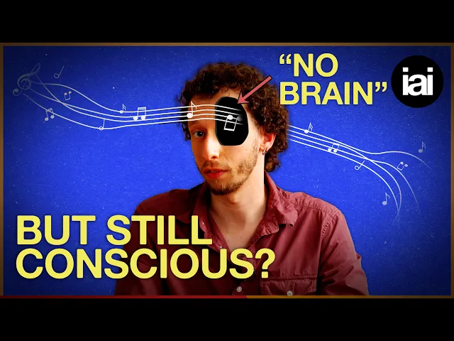 Video: What "no brain" patients teach us about consciousness | Ideas For Our Time
