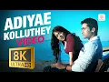 Vaaranam Aayiram - Adiyae Kolluthey 8K/4K Video Song | Harris Jayaraj | Suriya | Sameera Reddy