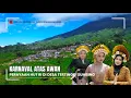 Download Lagu SENSASI KARNAVAL DI NEGERI ATAS AWAN, KARNAVAL DESA NGEMPLAK 2025 PART 2
