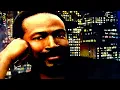 Marvin Gaye - My Love Is Waiting