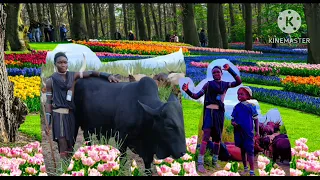 MDENDELA MANNE LINIGO OFFICER AUDIO 2025 