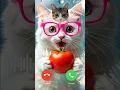 Lagu Beautiful Ringtone massage Tone 🎶#shorts #ringtone #cat