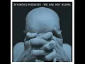 Breaking Benjamin - So Cold (Remix)