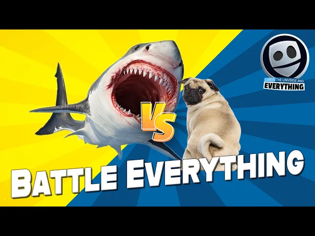 Cards, the Universe and Everything Steam Edition