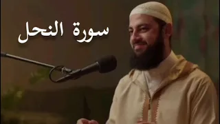 أوائل سورة النحل   الدكتور أحمد العربي دندنها