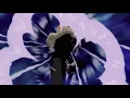 Download Lagu SoFaygo - Everyday [Slowed to perfection + Reverb]