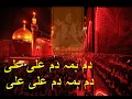 Download Lagu Dam Hama Dam Ali Ali- Nusrat Fateh Ali Khan- with translation
