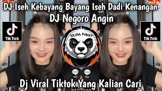 dj iseh kebayang bayang iseh dadi kenangan dj negoro angin viral tiktok terbaru 2026