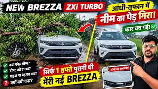 New Brezza ZXi Turbo पर गिरा नीम का पेड़! कार बच गई 😱