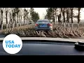 Caught on camera Animals walk in circles around car USA TODAY