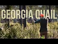 Quail Hunting in Georgia A 28-Gauge Journey