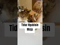 Download Lagu Ada yg lagi santay ! #kucing #kucinglucu #kucingmainecoon #maincooncat #cat