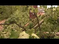 Flooding destroys parts of Wheeling West Virginia