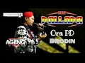 Download Lagu Ora Pede - Brodin New Pallapa tergress 2020 Ageng music