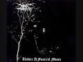 Darkthrone - To Walk the Infernal Fields