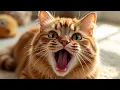 Download Lagu Cats Sound To Scare Mice | Cats Meowing Loudly | Cat Sound Effect | Billi ki Awaz