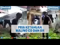Lagu Viral Seorang Pria Ketahuan Maling CD Dan BH Di Jemuran