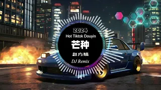Download 赵方婧 - 芒种 remix chinese dj 2024 (抖音热搜版) [ 最新最火dj抖音版2024 ] 🎶【抖音热门歌曲】抖音 Hot Tiktok Douyin | 芒种 DJ Remix MP3