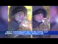 Craigslist ad to re-home cat changes local man s life