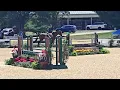 Sweet Willem - 3 6 Older Amateur Owner Hunter