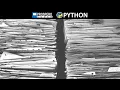 How to Send Text to File Using the print Function in Python