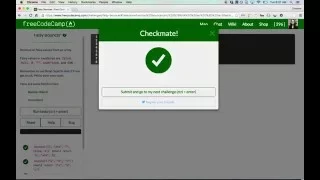 Free Code Camp Falsy Bouncer