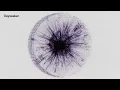 Burial Plot - Dayseeker