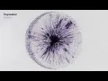 Dayseeker - Burial Plot (Acoustic) ft. Caleb Shomo Visualizer