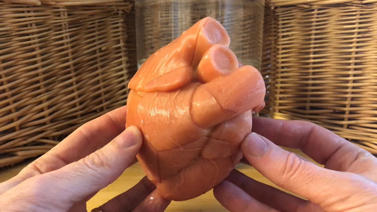 Anatomical Heart Puzzle