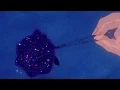 Download Lagu lana del rey - shades of cool (slowed + reverb)