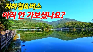 🚶‍♂️지하철과 버스를 이용, 수도권의 인기 트레킹 명소 파주 마장호수 출렁다리 둘레길과 도심에 인접한 푸른 초원의 힐링명소 렛츠런팜 원당 (원당목장) 썸네일