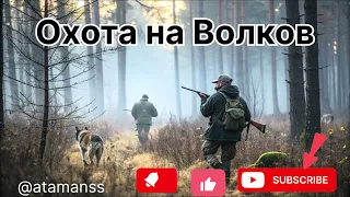 Песня Охота на волков 
