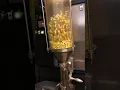 Goat Coffee - Roasting El Salvador Pacamara on JavaMaster Model 2002