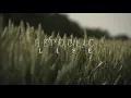 Head Held High - Kodaline