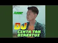 Download Lagu Cinta Tak Direstui DJ